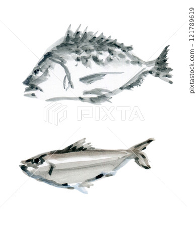 Black porgy, sardine Black porgy, sardine 121789619