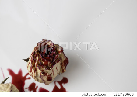 A Bloody dead bud of rose with blood on a white background. Dry flower of the rose. A Bloody dead bud of rose with blood on a white background. Dry flower of the rose. 121789666