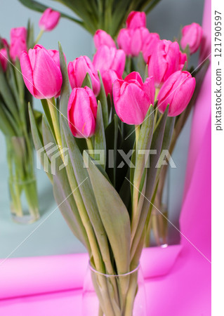 A bouquet of pink tulips on a pink background. 121790597