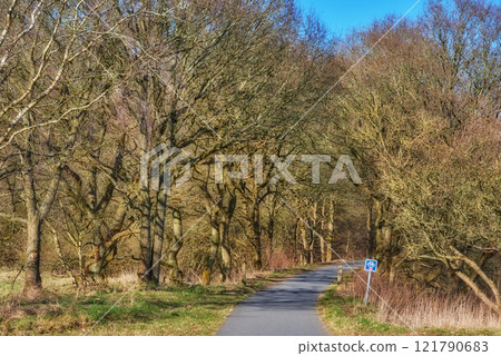 Road in the forest on a sunny day in Autumn with road sign indicating bike lane. Curved roadway surrounded by trees in countryside. Landscape with empty asphalt road through the woods in Fall season 121790683