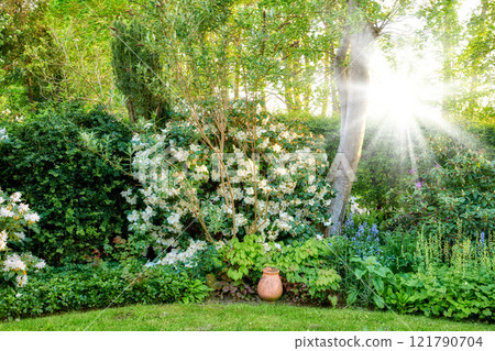 Landscape of quiet green garden with many shrubs and flowers on a sunny day outside. Lush backyard with flowering bushes and sun flare. Vibrant nature scene of different plants growing in a in park Landscape of quiet green garden with many shrubs and flowers on a sunny day outside. Lush backyard with flowering bushes and sun flare. Vibrant nature scene of different plants growing in a in park 121790704