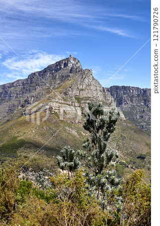 Mountain background, peaceful rocky land against a blue sky with copyspace. Vibrant land with lush green bushes and plants growing with harmony in nature. Relaxing, soothing views of South Africa Mountain background, peaceful rocky land against a blue sky with copyspace. Vibrant land with lush green bushes and plants growing with harmony in nature. Relaxing, soothing views of South Africa 121790726