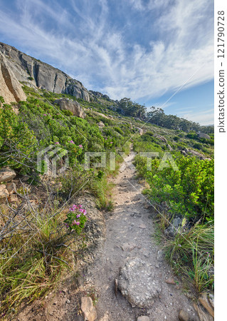 Rocky landscape on the top of Table Mountain in Cape Town, South Africa. Lush green plants and bushes growing against a blue sky background. Relaxing, soothing views of a mountain peak in nature Rocky landscape on the top of Table Mountain in Cape Town, South Africa. Lush green plants and bushes growing against a blue sky background. Relaxing, soothing views of a mountain peak in nature 121790728