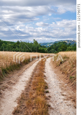 Dirt road on a farm land with a green forest and cloudy blue sky background. Yellow grass land or wheat field on a sustainable agriculture farmland. An empty farming grassland by the countryside 121790771