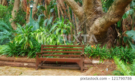 Relaxing seating on a bench in a park. Beautiful nature scenery of a garden seating area for relaxing outdoor in nature or green environment. A wooden seat surrounded by growing plants 121790786