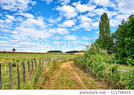 A countryside dirt road leading to agriculture fields or farm pasture in remote area location with blue sky and copy space. Landscape view of quiet, lush, green scenery of farming meadows in Germany A countryside dirt road leading to agriculture fields or farm pasture in remote area location with blue sky and copy space. Landscape view of quiet, lush, green scenery of farming meadows in Germany 121790914