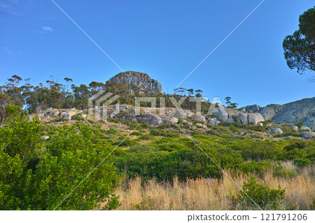 Landscape view of Table Mountain and surroundings during the day in summer. Scenery of a popular natural landmark with bushes and trees for tourism. Copyspace of a tourist attraction in Cape Town Landscape view of Table Mountain and surroundings during the day in summer. Scenery of a popular natural landmark with bushes and trees for tourism. Copyspace of a tourist attraction in Cape Town 121791206