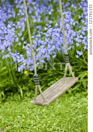 A wooden swing in a peaceful garden area with Bluebell Flowers blooming in a lush green bush. A play space outdoors in a backyard with vibrant purple plants growing in on a spring day 121791332