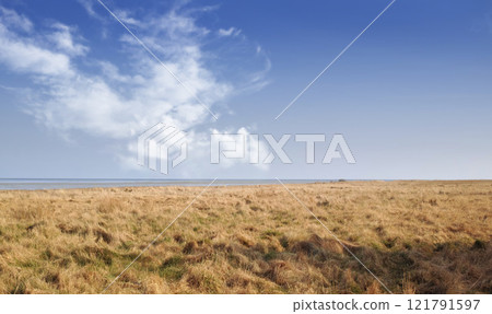 Landscape of a dry open field by the sea in the East coast of Kattegat, Jutland, near Mariager fjord, Denmark showing change in season. Springtime in an arid coastal meadow in the wilderness 121791597