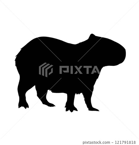 水豚剪影圖 121791818