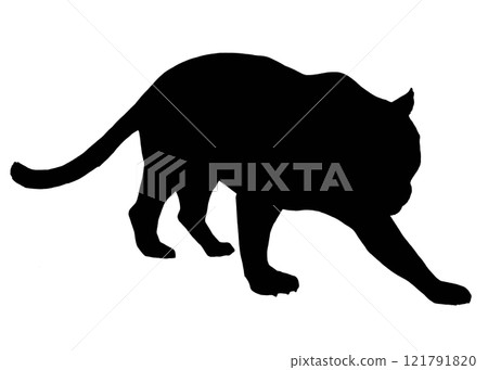 Walking jaguar silhouette illustration 121791820