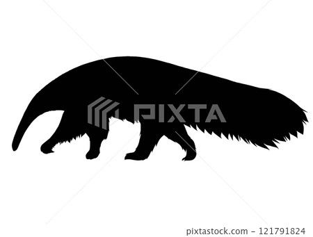 Silhouette illustration of a walking giant anteater 121791824