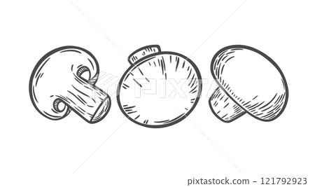Image of mushrooms in engraving style 121792923