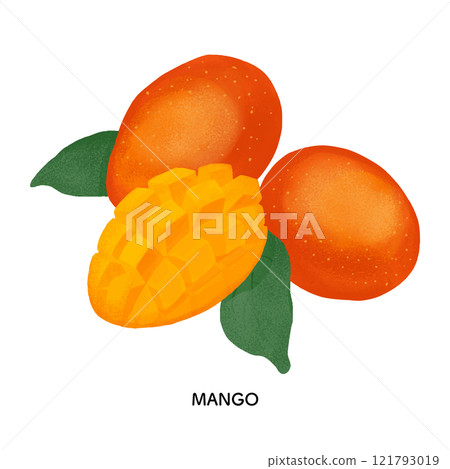芒果色鉛筆插圖 121793019