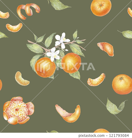 Peeled mandarin watercolor. Set of mandarin fruit design elements. Ripe orange watercolor. Orange fruit vitamin. Food illustration , pattern 121793084