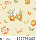 Peeled mandarin watercolor. Set of mandarin fruit design elements. Ripe orange watercolor. Orange fruit vitamin. Food illustration , pattern 121793085