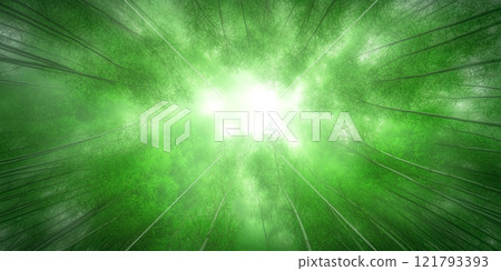 A quiet bamboo forest bathed in gentle light A quiet bamboo forest bathed in gentle light 121793393