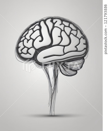 human brain close up human brain close up 121793886