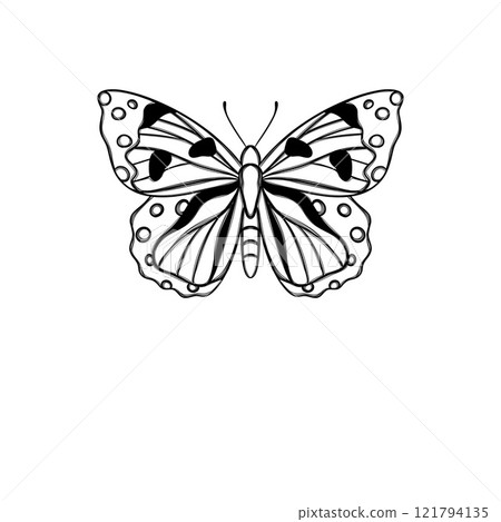 Line art butterfly, Layout for printing illustrations on T-shirts, notepads, covers Line art butterfly, Layout for printing illustrations on T-shirts, notepads, covers 121794135