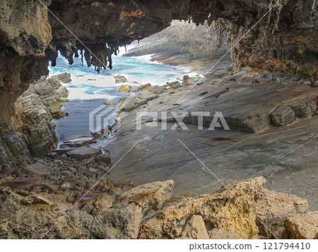 Admirals Arch lookout with sleeping Sea Lions 121794410