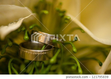 Elegant Wedding Rings Nestled Lovingly Within a Beautiful and Vibrant Flower Display 121795839