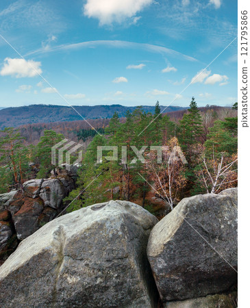 lofty stones in forest 121795866