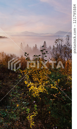 Autumn Carpathians, Ukraine. 121795884