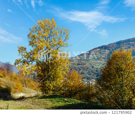 Autumn Carpathian mountains, Ukraine 121795902