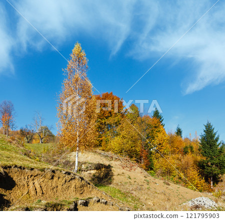 Autumn Carpathian mountains, Ukraine 121795903