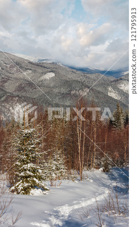 Winter morning Carpathian mountains, Ukraine Winter morning Carpathian mountains, Ukraine 121795913