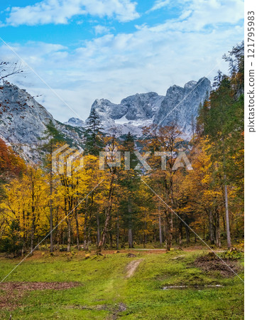 Peaceful autumn Alps mountain forest view. Near Gosauseen or Vorderer Gosausee lake, Upper Austria. Dachstein summit and glacier in far. Peaceful autumn Alps mountain forest view. Near Gosauseen or Vorderer Gosausee lake, Upper Austria. Dachstein summit and glacier in far. 121795983
