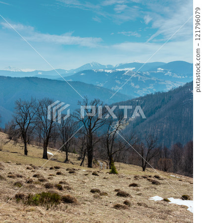 Early spring Carpathian mountains 121796079