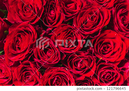A lot of scarlet roses, top view 121796645