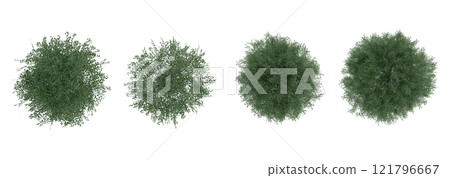 tree top view plant landscape architecture nature garden aerial render. trees branch isolate collection illustration environment green botany urban bush park. tree architecture conifer decorative. 121796667