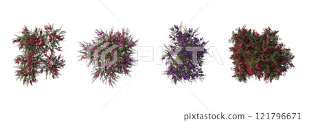 tree top view plant landscape architecture nature garden aerial render. trees branch isolate collection illustration environment green botany urban bush park. tree architecture conifer decorative. 121796671