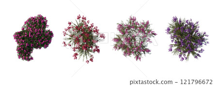 tree top view plant landscape architecture nature garden aerial render. trees branch isolate collection illustration environment green botany urban bush park. tree architecture conifer decorative. tree top view plant landscape architecture nature garden aerial render. trees branch isolate collection illustration environment green botany urban bush park. tree architecture conifer decorative. 121796672