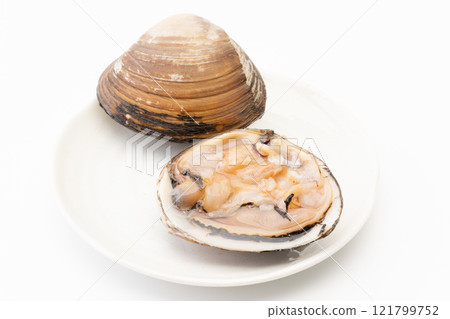 Fresh raw surf clams on a plate Fresh raw surf clams on a plate 121799752