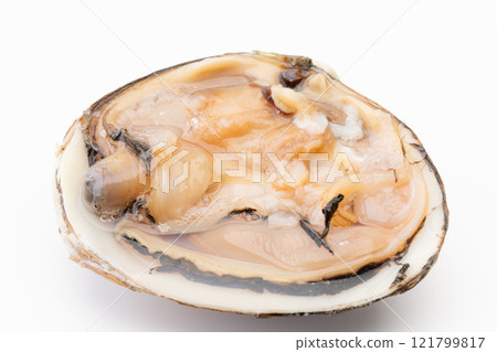 新鮮未加工的北方貝類肉的特寫鏡頭 新鮮未加工的北方貝類肉的特寫鏡頭 121799817