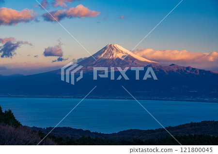 [Shizuoka Prefecture] Mt. Fuji seen from Darumayama Plateau at dawn 121800045