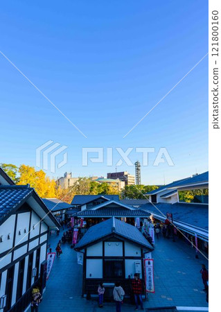 Autumn leaves against the backdrop of clear autumn skies. Scenery of the Sakuranobaba Josaien Gardens. "Castle Festival (Autumn Kumamoto Castle Festival) (Bamboo Lanterns)" Autumn leaves against the backdrop of clear autumn skies. Scenery of the Sakuranobaba Josaien Gardens. "Castle Festival (Autumn Kumamoto Castle Festival) (Bamboo Lanterns)" 121800160
