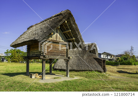 Shizuoka Toro ruins, rice farming village, Shizuoka City, Shizuoka Prefecture Shizuoka Toro ruins, rice farming village, Shizuoka City, Shizuoka Prefecture 121800714