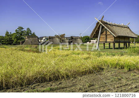 Shizuoka Toro ruins, rice farming village, Shizuoka City, Shizuoka Prefecture 121800716