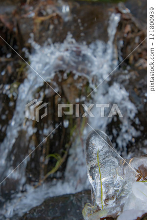 Icicles on a branch Icicles on a branch 121800939