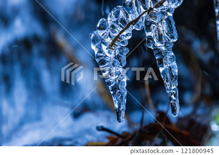 Icicles on a branch Icicles on a branch 121800945