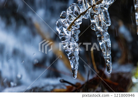 樹枝上的冰柱 121800946