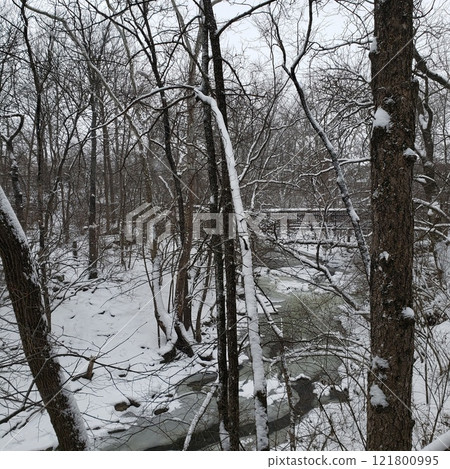 Blanket of Snow in Indian Run Falls Park, Dublin, Ohio Blanket of Snow in Indian Run Falls Park, Dublin, Ohio 121800995