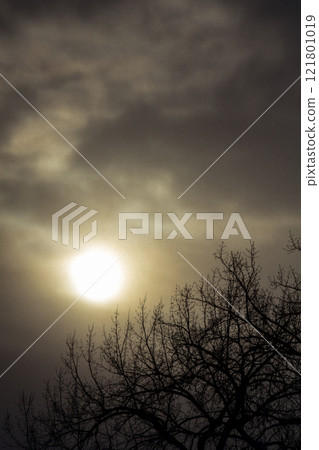 Cloudy Winter Day with the Sun in the Clouds and a Silhouette of a Tree 121801019