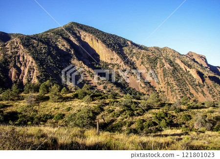 Ward Mountain, Big Bend National Park, Texas Ward Mountain, Big Bend National Park, Texas 121801023
