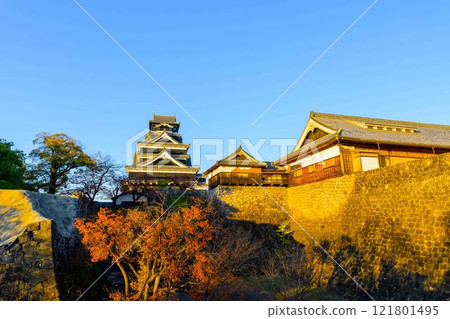 了解更多(從遊覽路線看熊本城的秋景) 城堡祭(秋季熊本城祭)(竹燈) 了解更多(從遊覽路線看熊本城的秋景) 城堡祭(秋季熊本城祭)(竹燈) 121801495