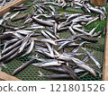 剛捕獲的飛魚作為魚乾 121801526